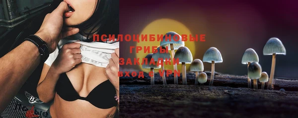 apvp Вязьма