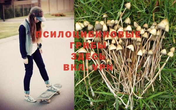 мдпв Вяземский