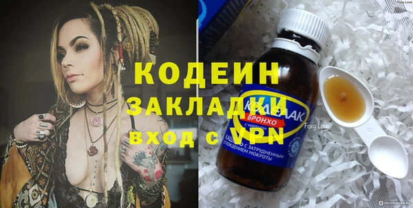 мдпв Вяземский