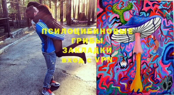 мдпв Вяземский